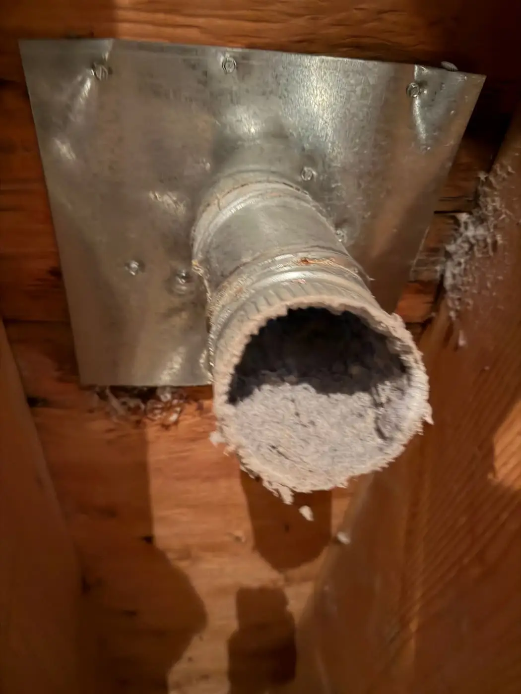 A dryer duct coming through a metal plate between wood framing, its open end clogged with lint.