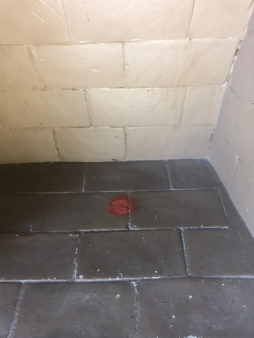 A swept firebox with pale firebrick walls and a tiled floor.